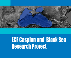 The Changing Dynamics of the Wider-Black Sea in Regional Security and External Relations